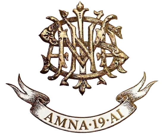 AMNA·19·AI crest